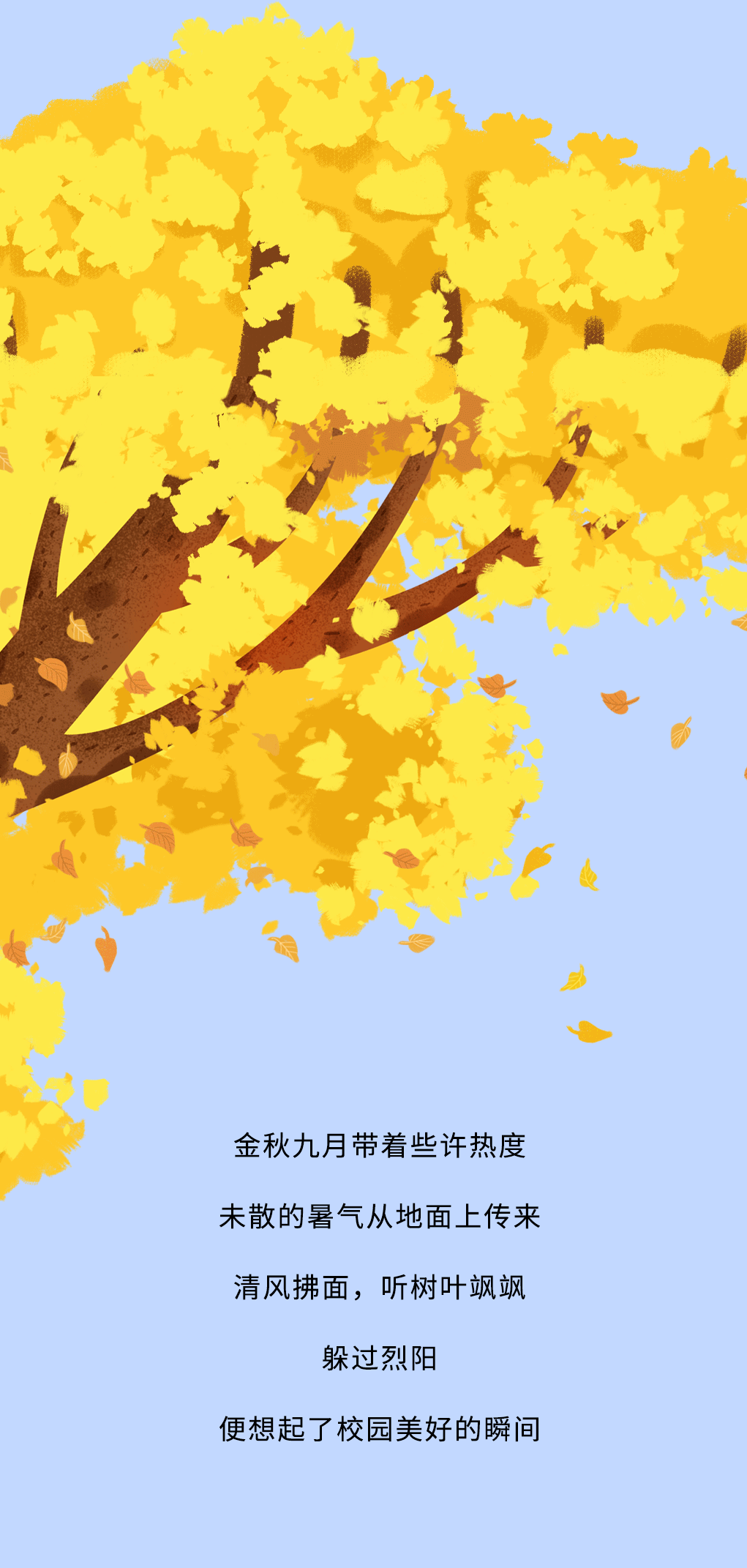 哈哈体育haha奶茶教师节推文